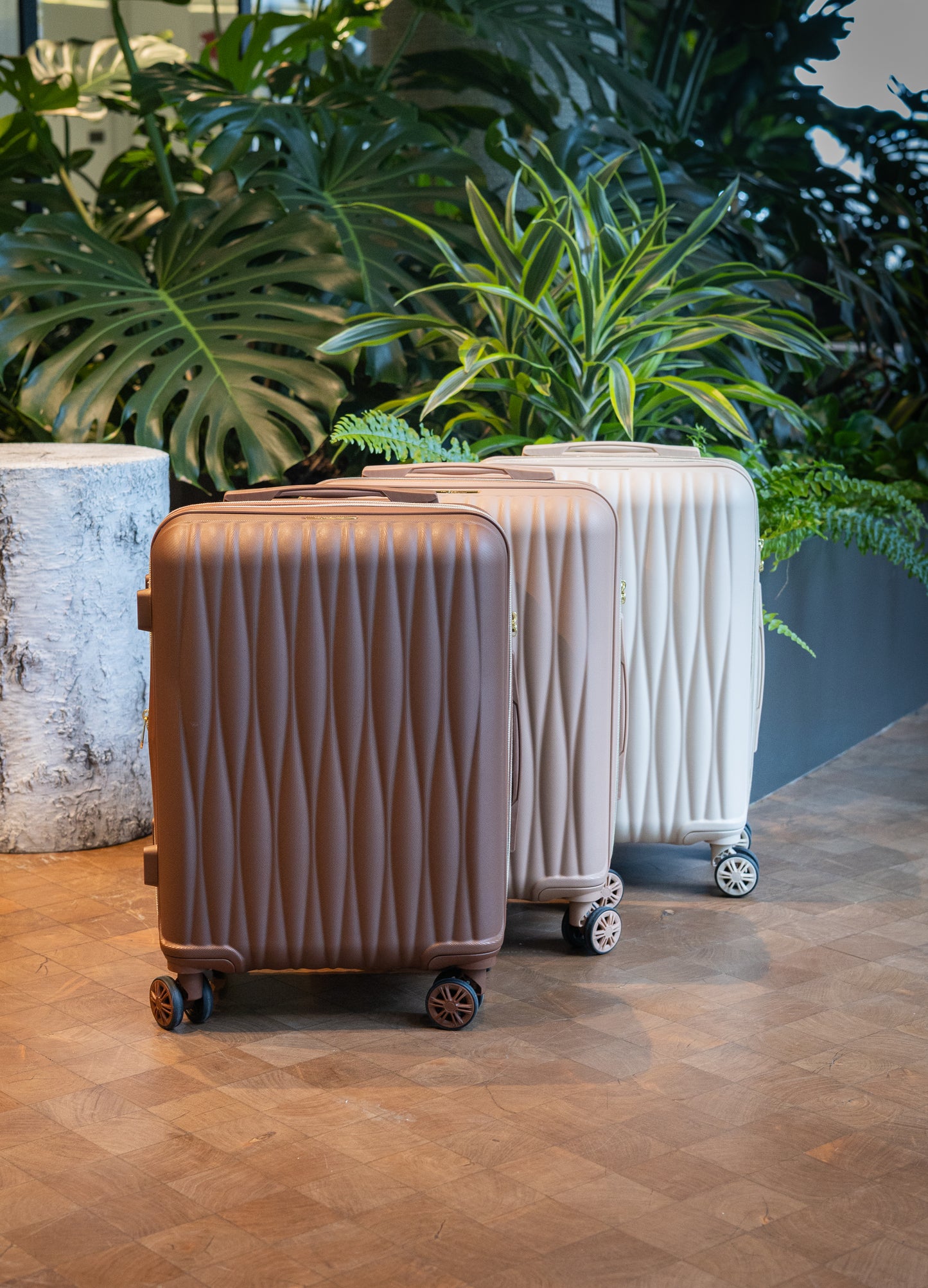 Ms. Jetsetter 2-Piece Expandable Luggage Set with Bonus Shoe Bag & 3-Piece Packing Cube Set